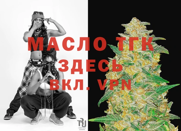 тгк Бородино