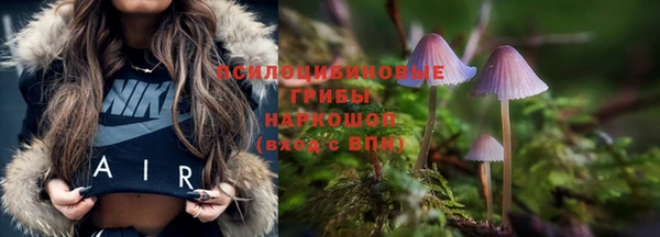круглые Бронницы