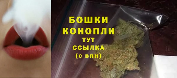 тгк Бородино