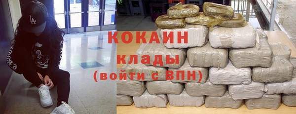 ПСИЛОЦИБИНОВЫЕ ГРИБЫ Верея