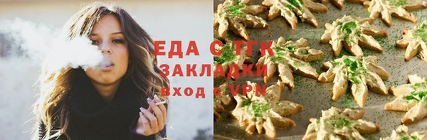 тгк Бородино