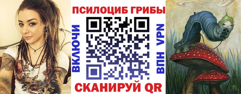 Галлюциногенные грибы Cubensis  Купить где  Лахденпохья 